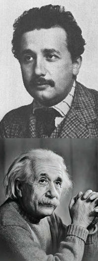 File:Socionics Albert Einstein.jpg